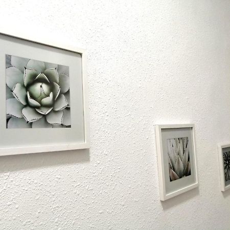 Room In The Center Of Alicante! 외부 사진